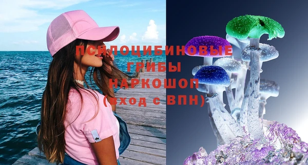 героин Алексин