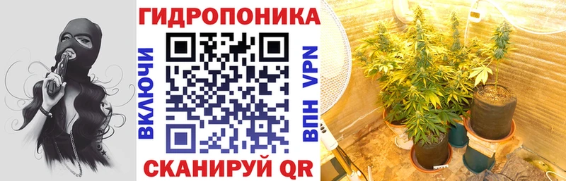 Шишки марихуана гибрид  Чебоксары 